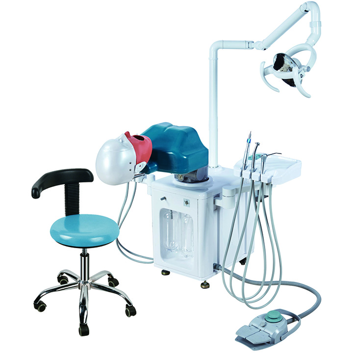 Jingle JG-A2 Simulador de Paciente Odontológico Completo Typodont Compatível com Nissin Kilgore/Frasaco