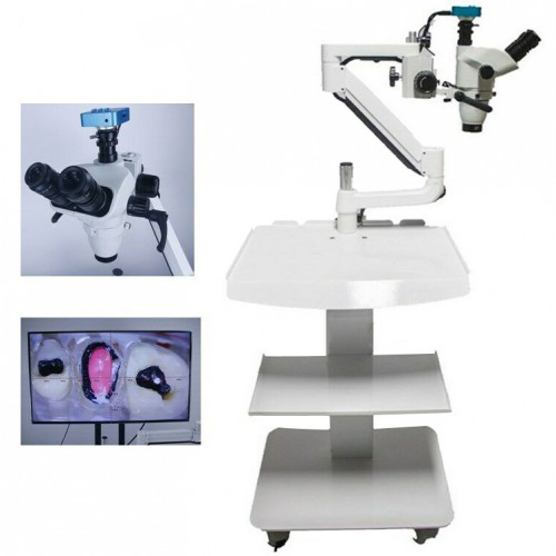 Microscópio cirúrgico odontológico 5W para terapia de canal radicular com câmera tipo de carrinho móvel