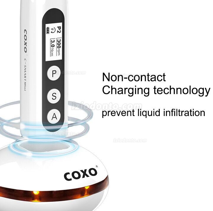 YUSENDENT COXO C-Smart-Mini Motor Endodôntic Sem fio Contra-ângulo 1:1