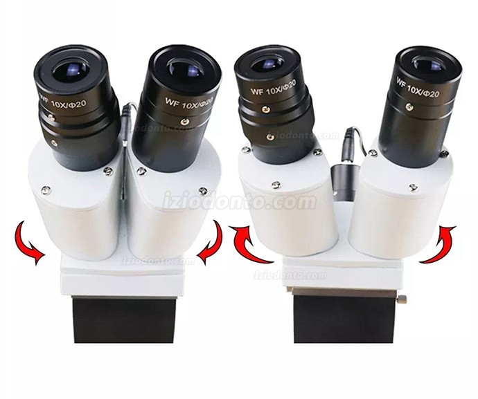 10X Microscópio cirúrgico odontológico microscópio cirúrgico endodôntico montado em mesa