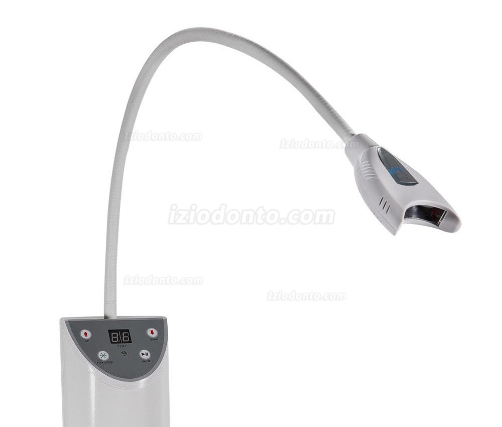 Magenta® Luz de led para clareamento dental LED Light MD666