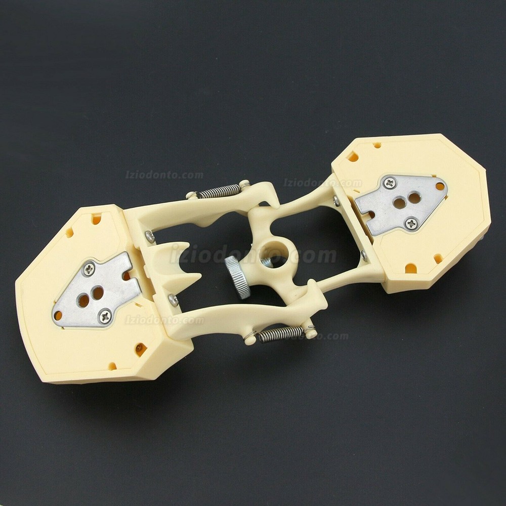Simulação de cirurgia de restauração dentária Typodont Modelo M8014-2 Simulação de cirurgia de restauração dentária Typodont Modelo M8014-2