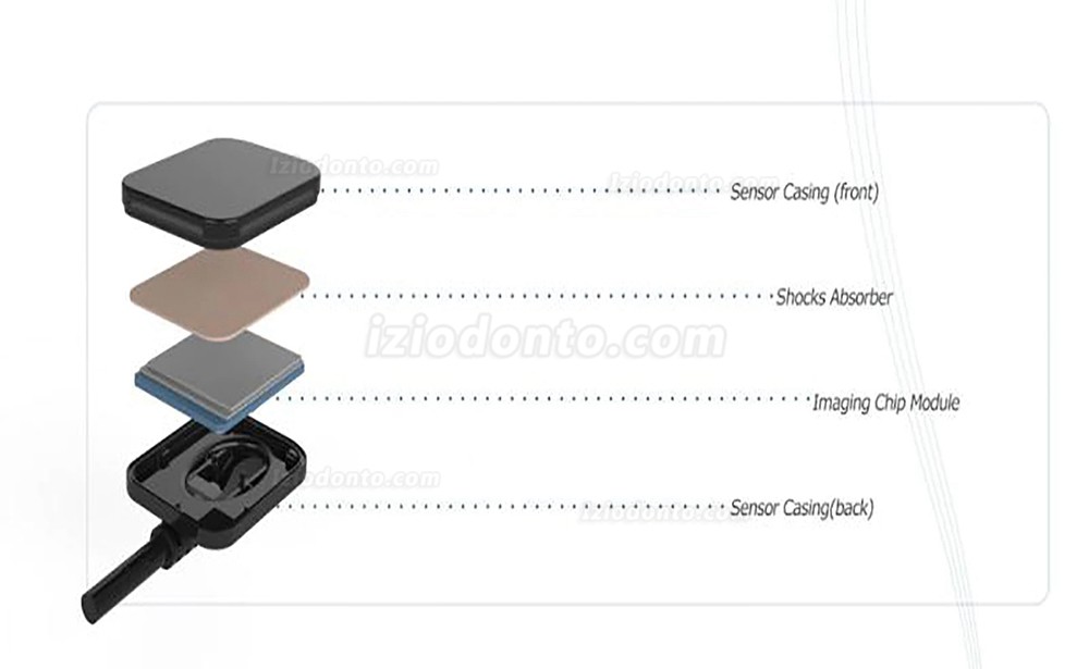 Sensor Para Radiografia Odontológica RVG Sensores Intraorais