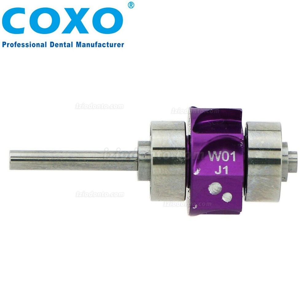 YUSENDENT® COXO Dental Rotor Cartucho Compatível com W&H Turbina Dentária de Alta Velocidade