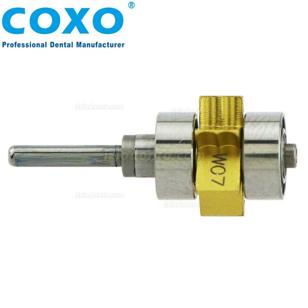 YUSENDENT® COXO Dental Rotor Cartucho Compatível com W&H Turbina Dentária de Alta Velocidade