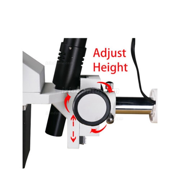 10X Endomicroscópio cirúrgico odontológico com luz LED para cadeira odontológica