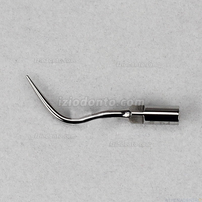 Woodpecker® 10pcs Periodontia Insertos compatível Satelec NSK P4 Scaler