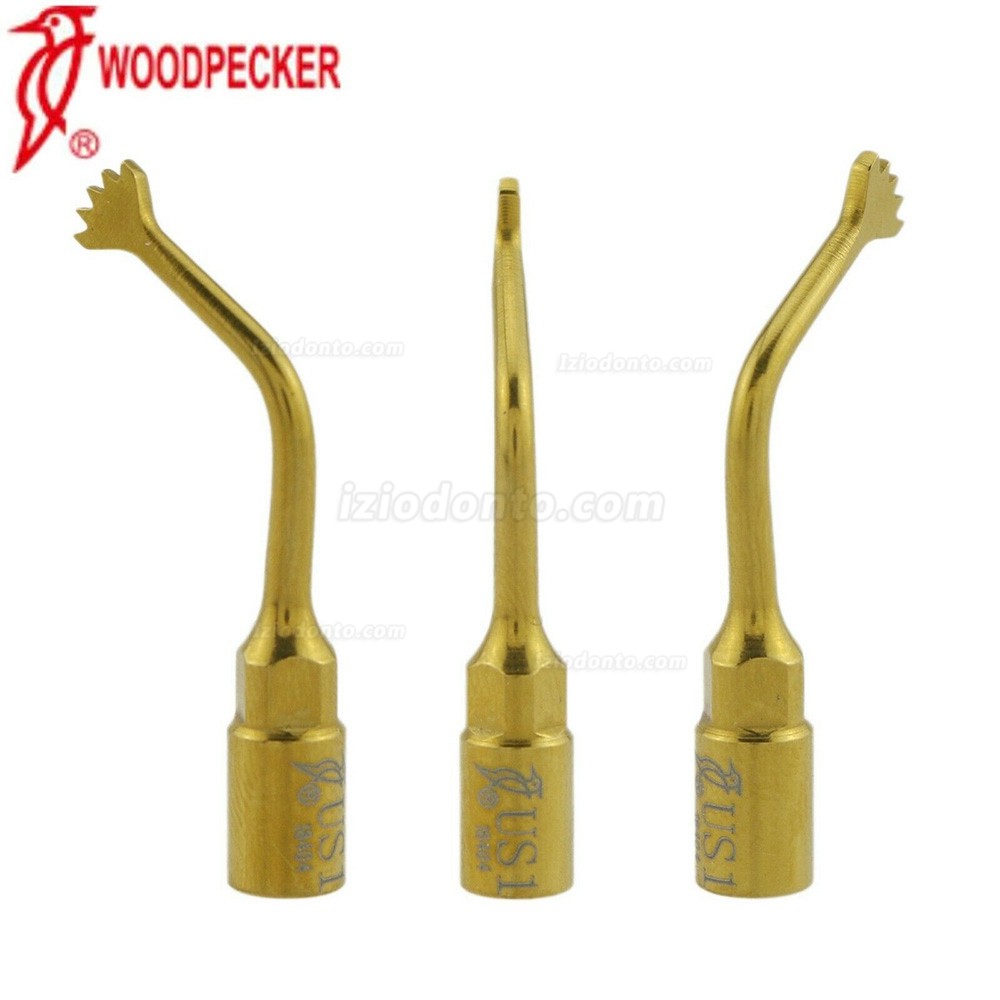 Woodpecker Ultrassocirurgia dentária pontas para cirurgia óssea US1 US2 compatível com EMS Woodpecker Mectron