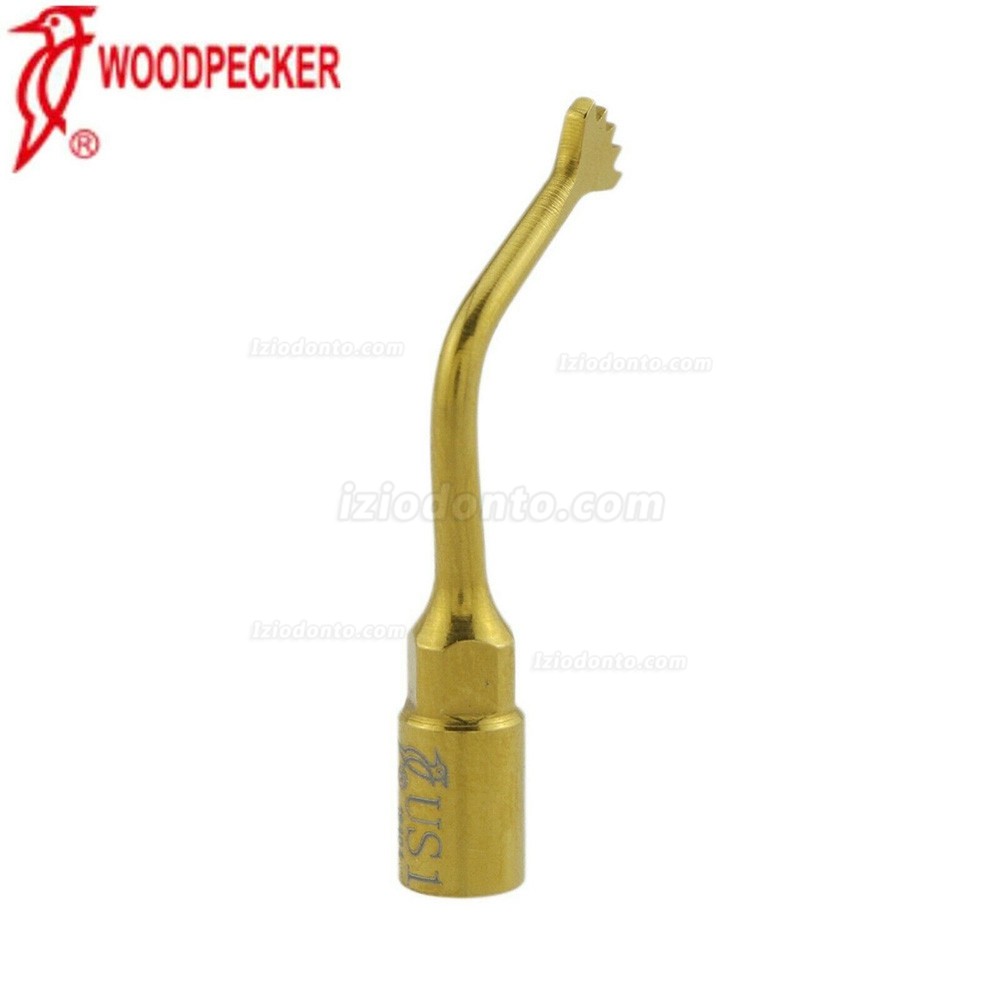 Woodpecker Ultrassocirurgia dentária pontas para cirurgia óssea US1 US2 compatível com EMS Woodpecker Mectron