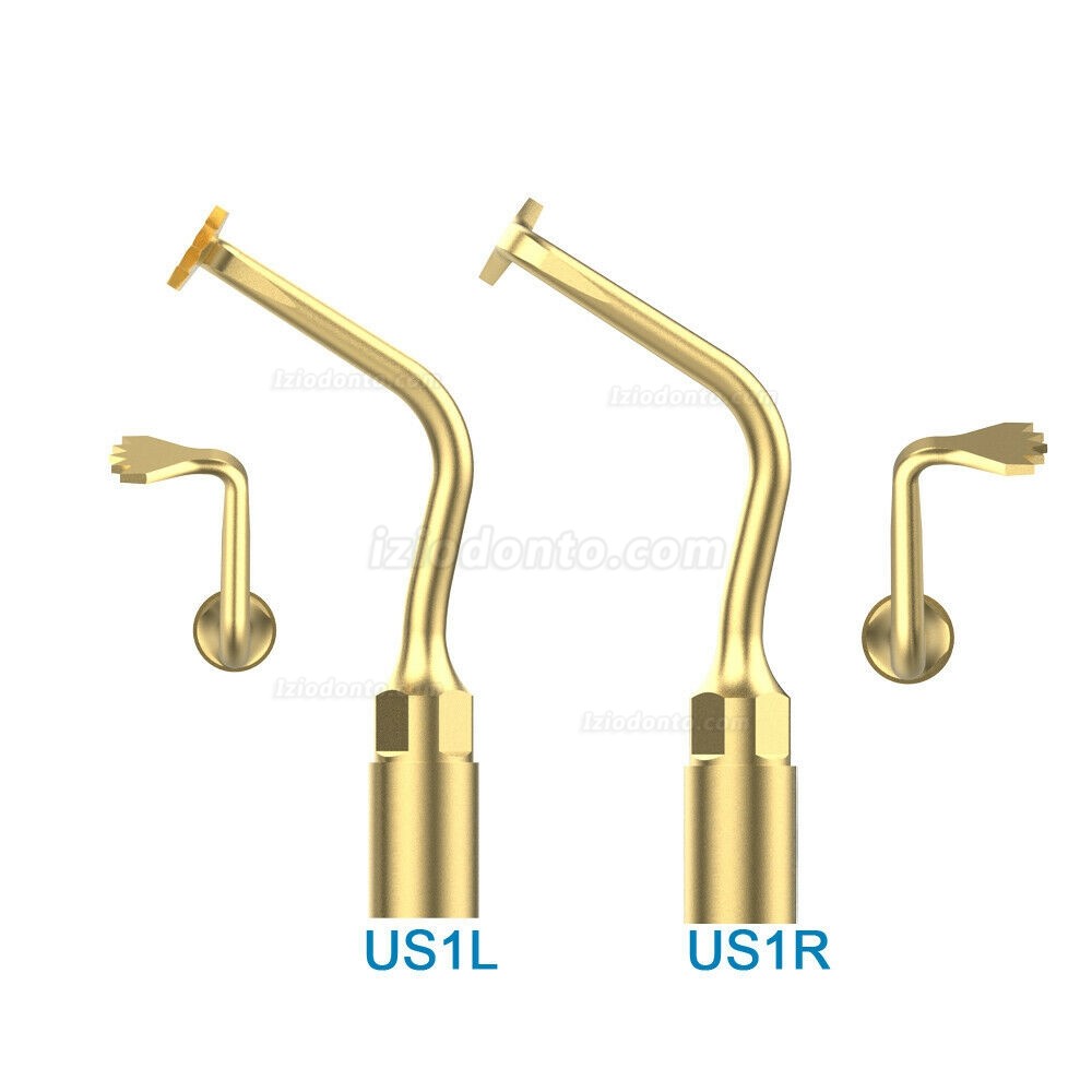 Woodpecker US1L US1R Ultrasurgery pontas para cirurgia óssea Compatível com F/ Mectron Woodpecker