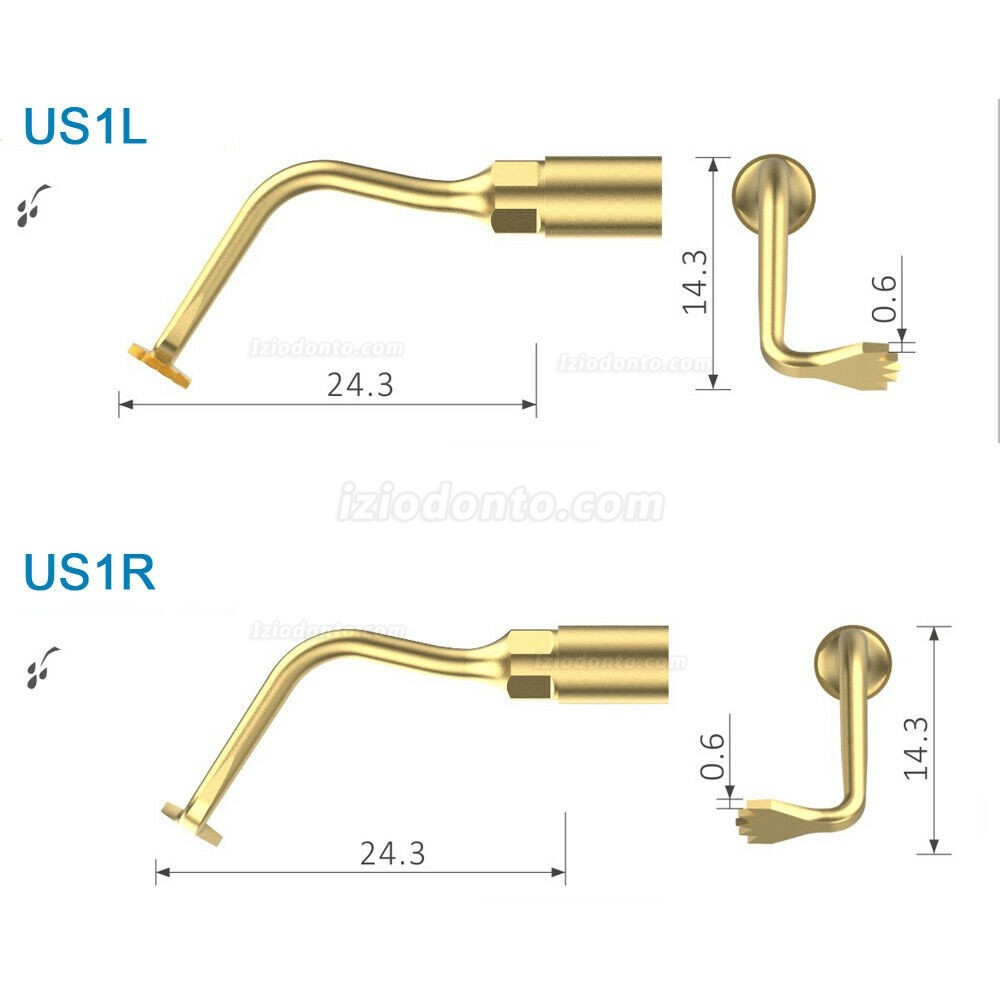 Woodpecker US1L US1R Ultrasurgery pontas para cirurgia óssea Compatível com F/ Mectron Woodpecker